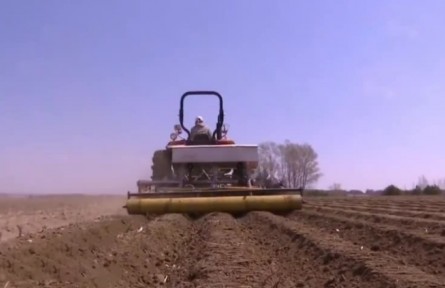 吉林：为黑土地“加油” 2800万亩农田实施保?护性耕作