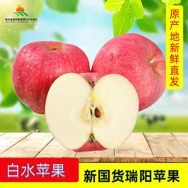 陕西白水苹果新国货瑞阳苹果水果礼盒