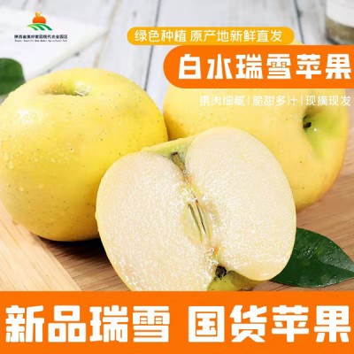 陕西白水苹果新品种国货瑞雪苹果礼盒