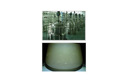 65、成果名称：灵芝液态发酵高产活性多糖关键技术