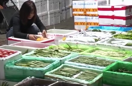上海：各地蔬菜大批进入 市场批发价略有回落