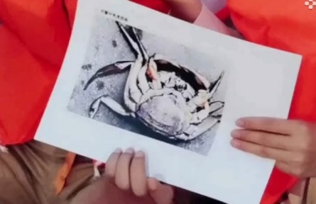 大闸蟹甲壳溃疡病是怎样引起的