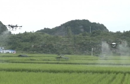 贵州：推广无人机植保 机械化助农增效