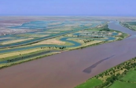 山东：凝聚合力 生态优先 打好黄河流域生态保护主动仗