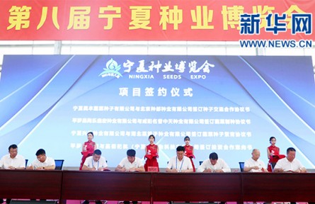 “小种子”撬动大产业 第八届宁夏种业博览会签约资金9.35亿元