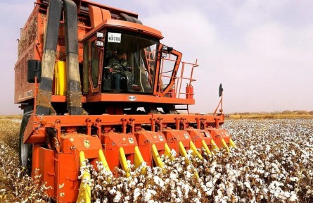 国机集团农业机械助力“采纺”新疆棉
