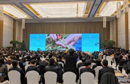 2021中非创新合作大会在湖北武汉开幕