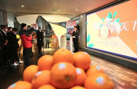 江西：赣南脐橙文化周活动在北京启动