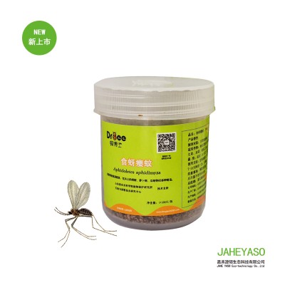蜂博士生物防治 食蚜瘿蚊