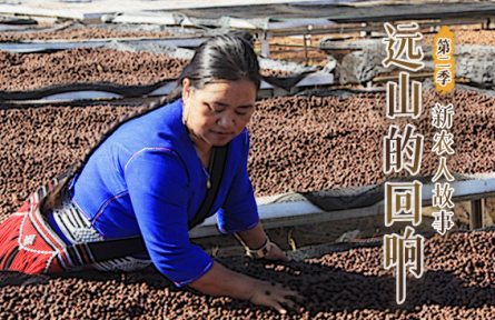 从大山走向世界 佤族阿姐把国潮咖啡种“出圈”