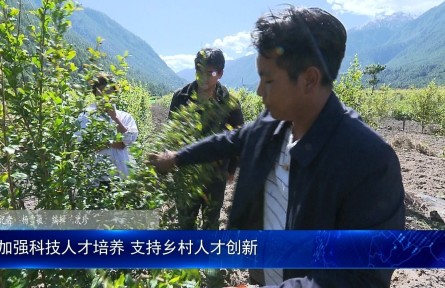 西藏林芝：加强科技人才培养 支持乡村人才创新