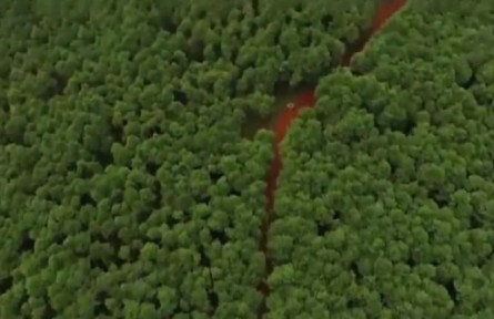 云南昆明：天然林保护修复让荒山变绿洲
