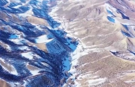 新疆玛纳斯：飞播牧草 改良退化草原