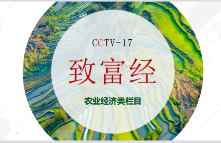 CCTV-17农业农村频道-《致富经》栏目服务