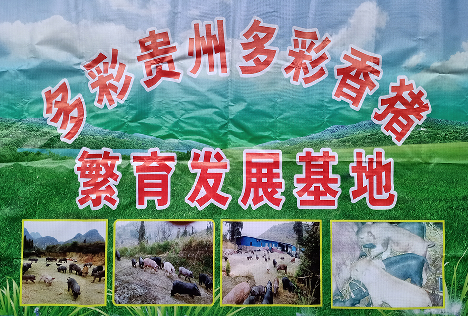 （贵州黔南）独山县肖氏畜牧业发展有限公司