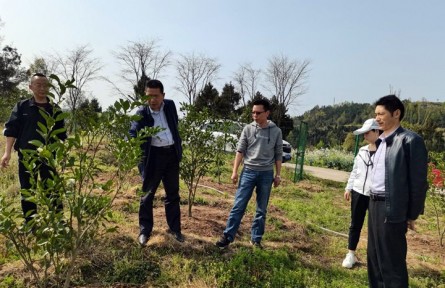 通江县多形式开展高素质农民培育跟踪服务