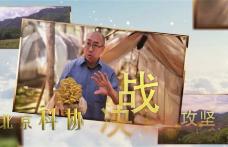 大美科技特派员|北京：刘宇依托蘑菇产业助力扶贫