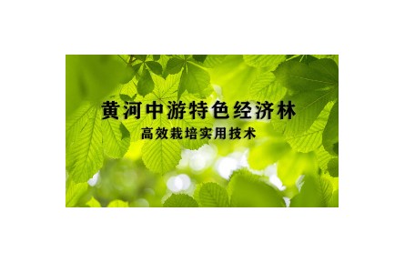 5 皂荚高效培育关键技术—《黄河中游特色经济林高效栽培实用技术》
