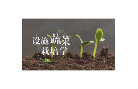 《设施蔬菜栽培学​》讲座系列视频