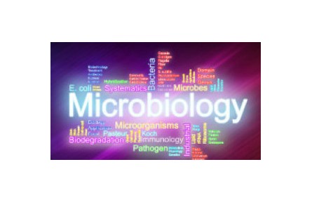 《微生物学》讲座系列视频