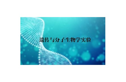 《遗传与分子生物学实验》讲座系列视频