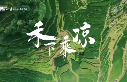 音乐纪录片《禾下乘凉》——缅怀袁隆平
