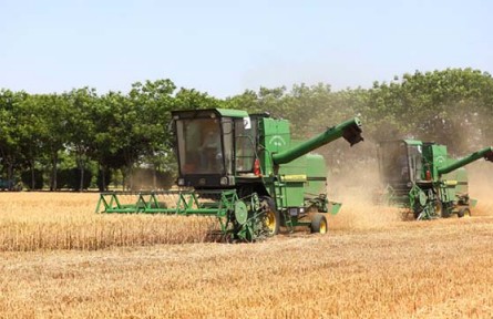 我国收获小麦超过1.2亿亩 进度过四成
