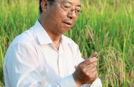 中国科学院院士谢华安：把“农业芯片”牢握手中