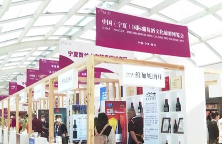第二届中国（宁夏）国际葡萄酒文化旅游博览会开幕