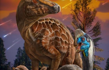 我国恐龙蛋研究揭示恐龙灭绝新机制