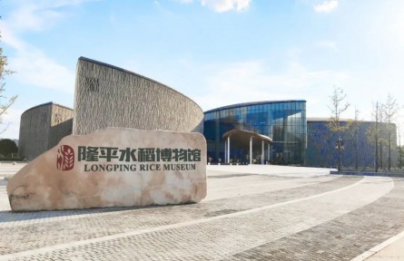 隆平水稻博物馆：不断拓展基地教育影响 筑牢粮食安全宣传根基
