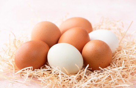 辟谣 | 鸡蛋也能人造？是“科技与狠活”还是谣言？