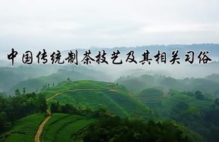 人类非物质文化遗产——中国传统制茶技艺及其相关习俗