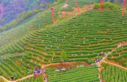 四川达州大竹县举办第六届“喊山开茶”文化节