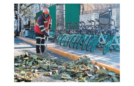 北京：落叶景观引发市民好奇 城市绿化垃圾是如何处理的