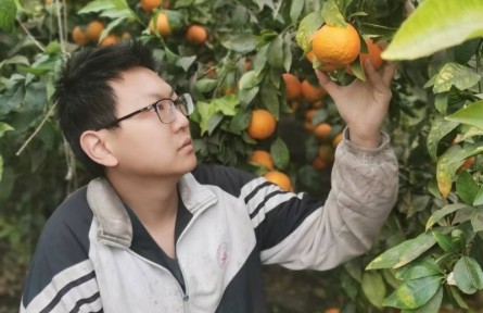 朱志杰：大学毕业返乡 在新疆种起南方水果