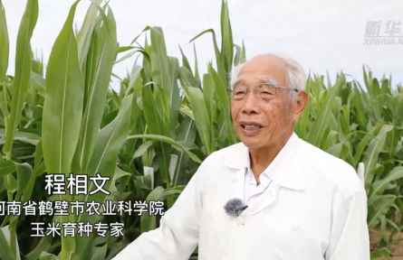 玉米育种专家程相文：为育良种 他58年未回家过年