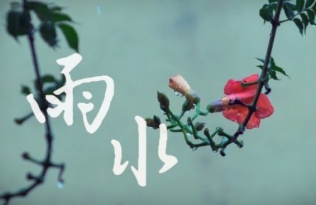 雨水：执伞迎春雨 邂逅诗意中国