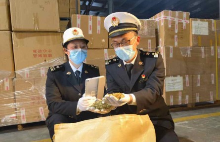 宜昌海关：全力保障进口中药材种子快速验放