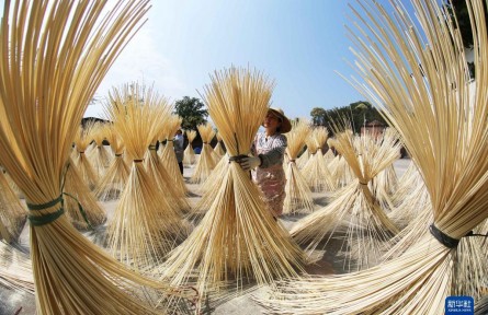 贵州赤水：竹产业助力乡村振兴