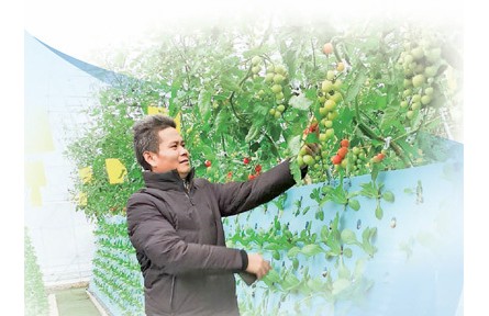 徐伟忠：气雾栽培，种出瓜果蔬菜