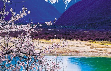 西藏林芝：峡谷深处桃花源