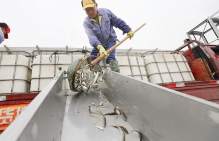 长江“十年禁渔”取得阶段性成果