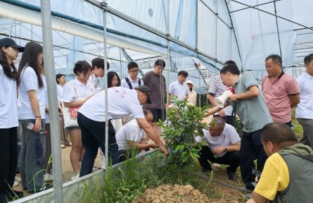 湖南农业大学：博士团“把脉问诊”助力柑橘产业发展