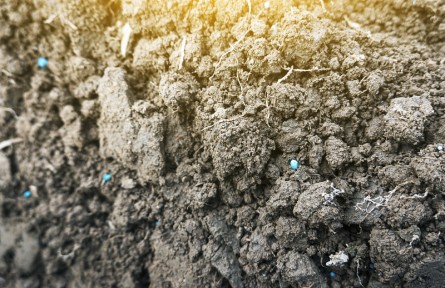 科技名词 | 土壤微生物 soil microorganism