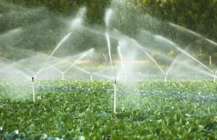 科技名词 | 作物需水量 crop water requirement