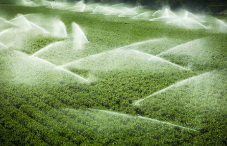 科技名词 | 喷灌 sprinkler irrigation