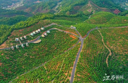 深化调查研究 服务林农林企 江西省林业局扎实推动主题教育成果转化