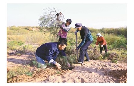 张应龙：以科技创新实现可持续治沙