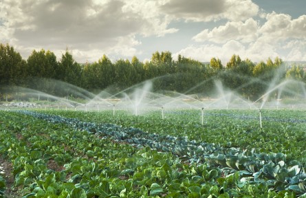 科技名词 | 灌水技术 irrigation technique